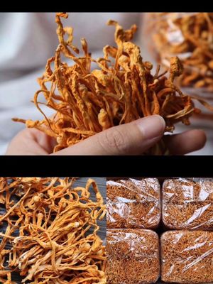 参茸补品,惠来…本地美食